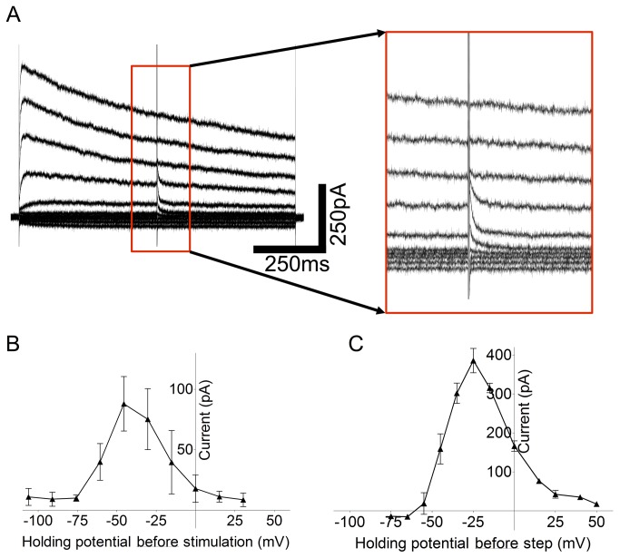 Figure 5