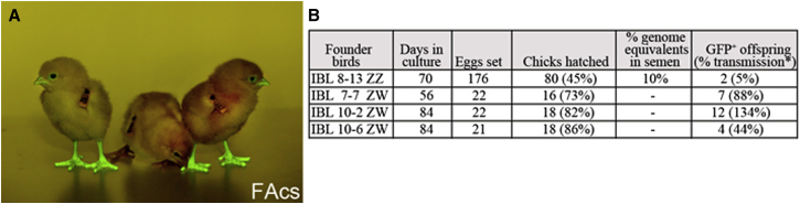 Figure 4