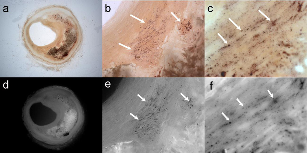 Fig. 7