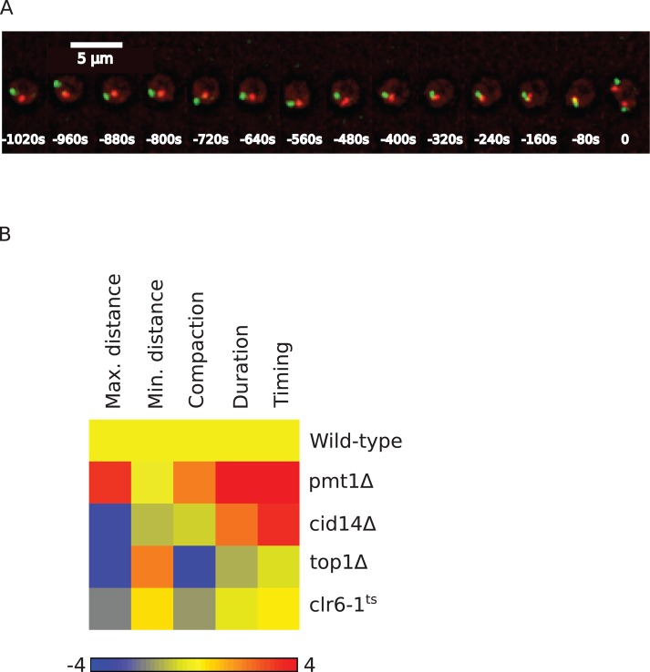 FIGURE 6: