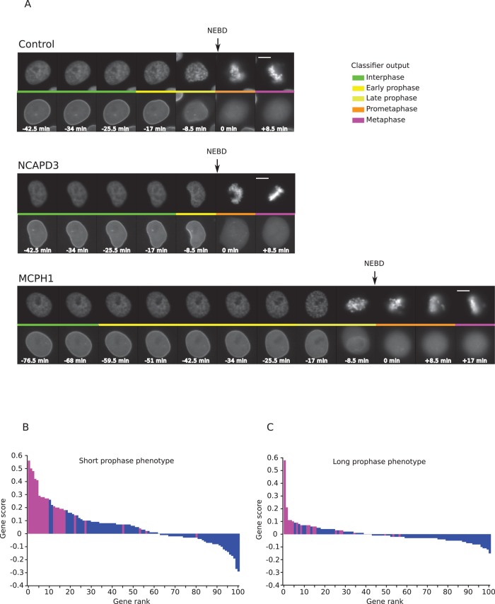 FIGURE 3: