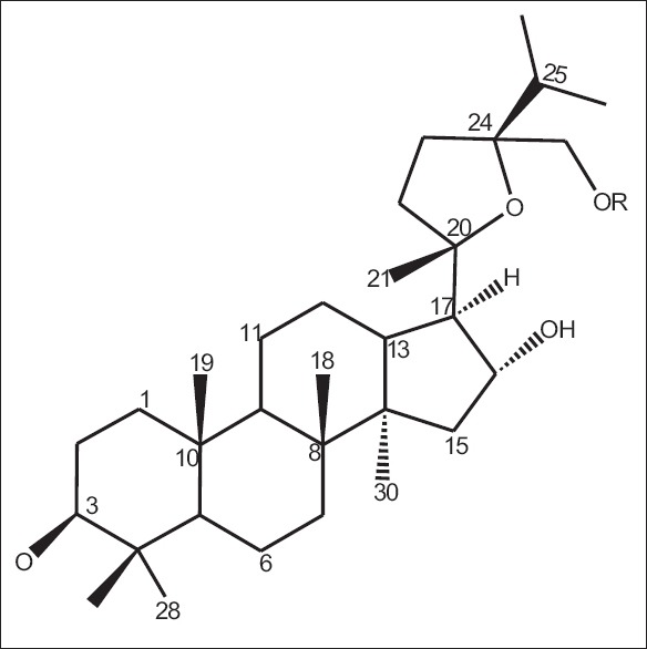 Figure 8