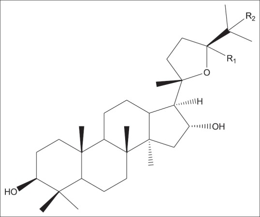 Figure 13