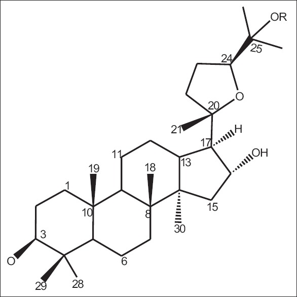 Figure 10