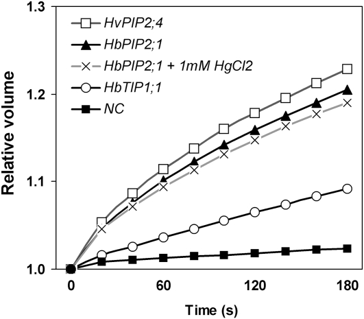 Figure 5.