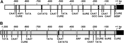 Figure 9.