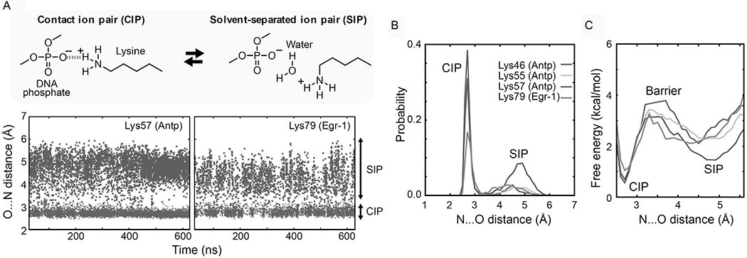 Fig. 11