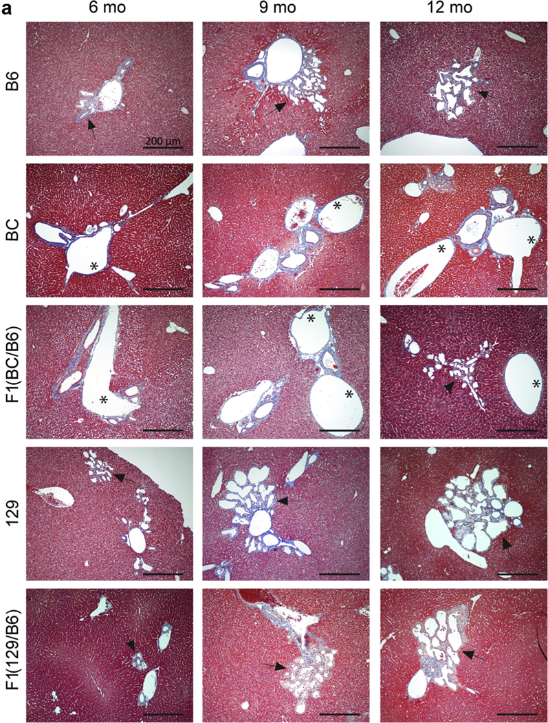 Figure 4 |