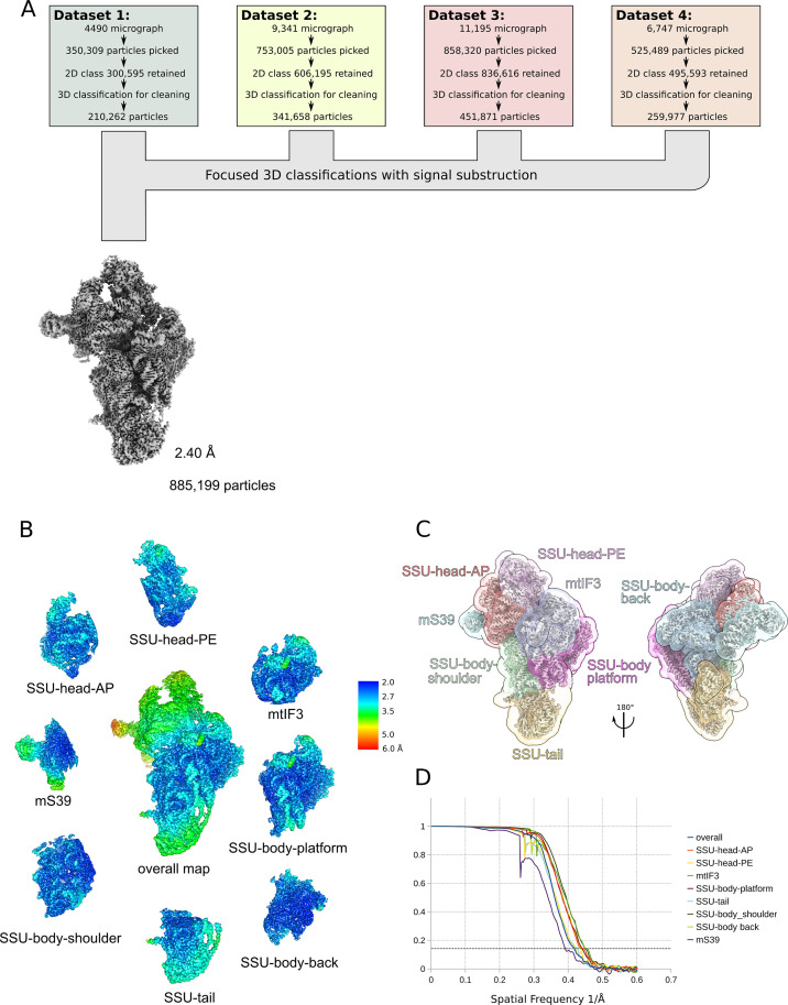 Figure 1—figure supplement 1.