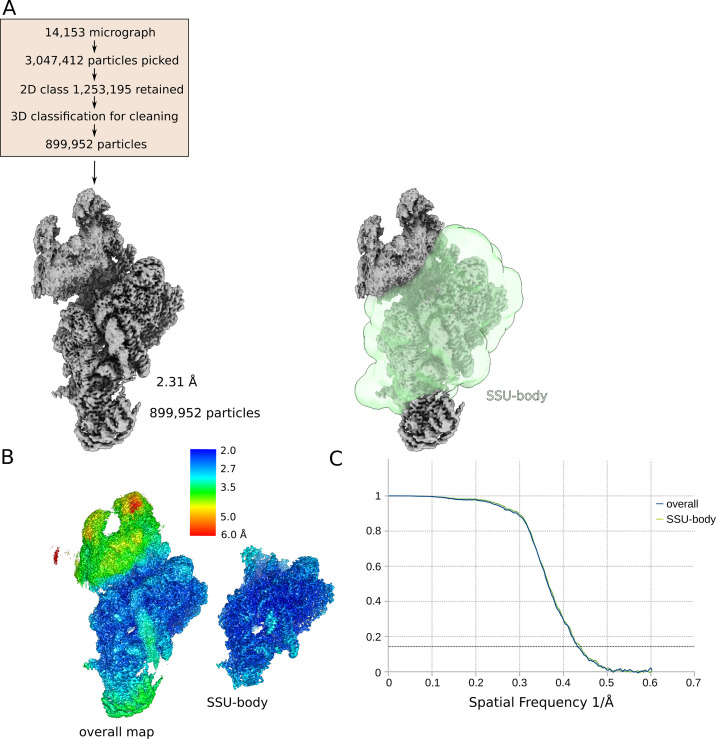 Figure 1—figure supplement 2.