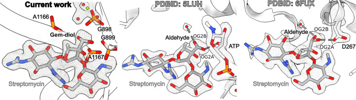 Figure 5—figure supplement 2.