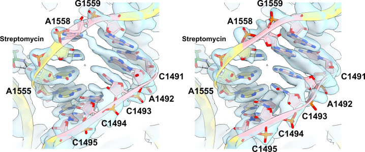 Figure 5—figure supplement 4.