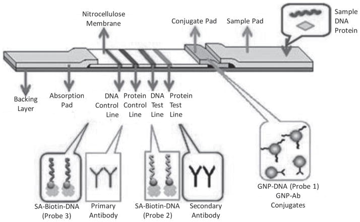 Fig. 1