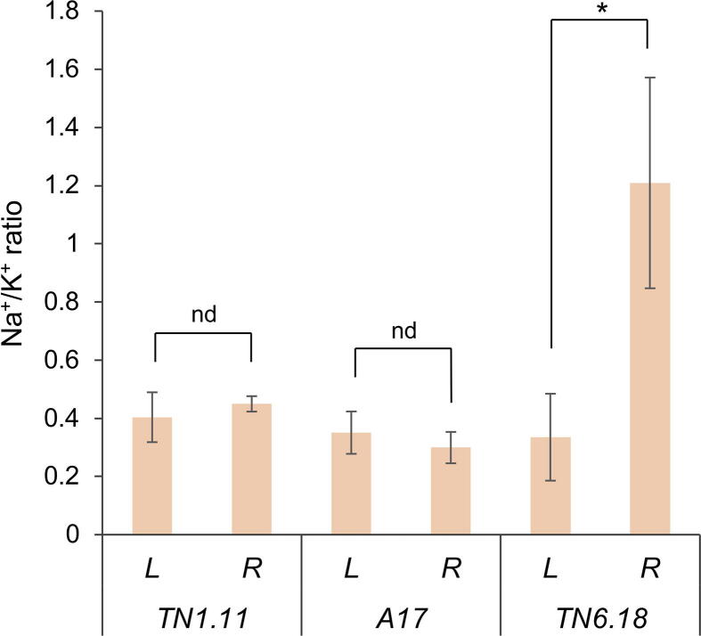 Supplementary Fig. S3