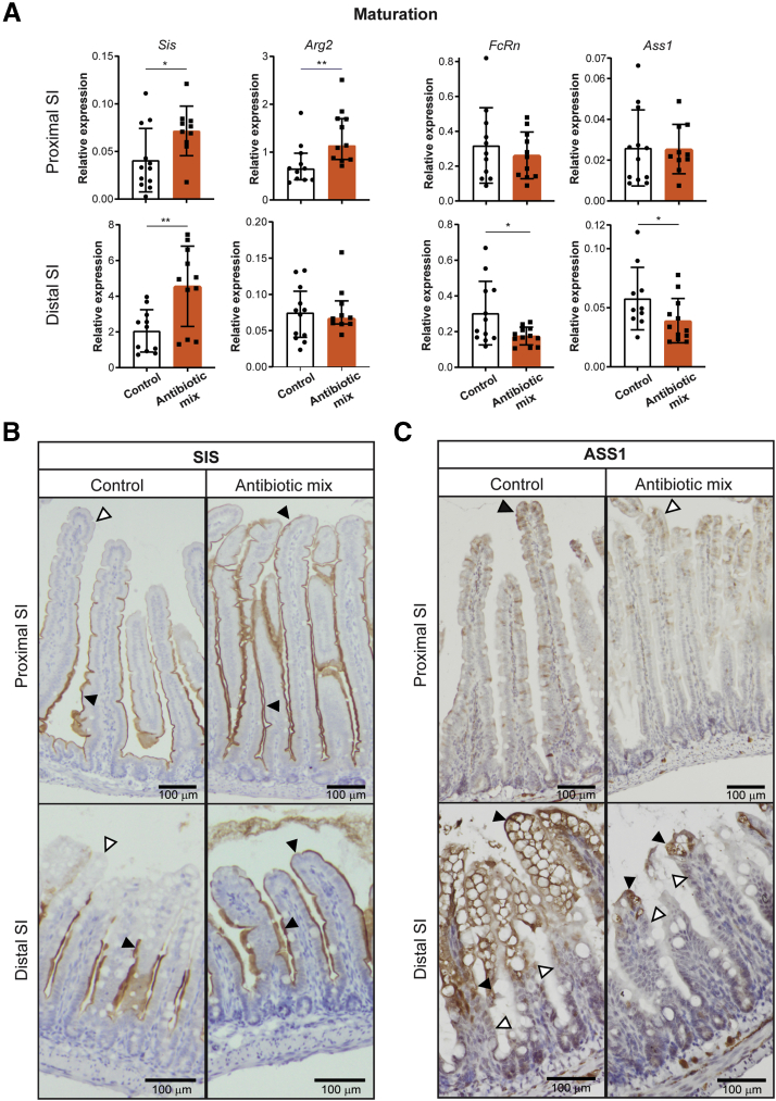 Figure 5