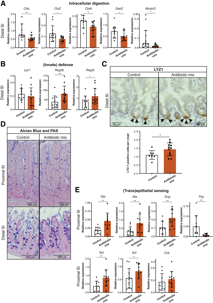 Figure 6