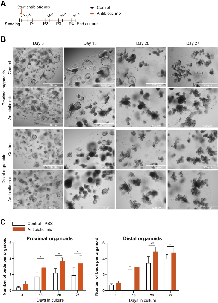 Figure 7