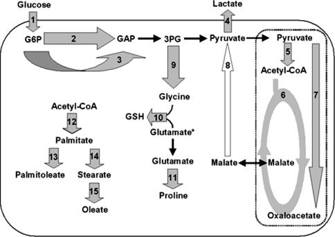 Fig. 2