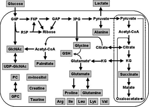 Fig. 1