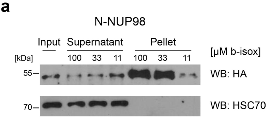 Extended Data Fig. 4