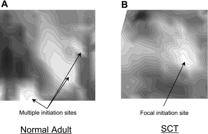 Fig. 2.