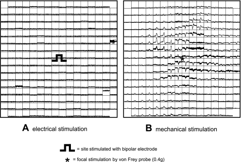 Fig. 6.