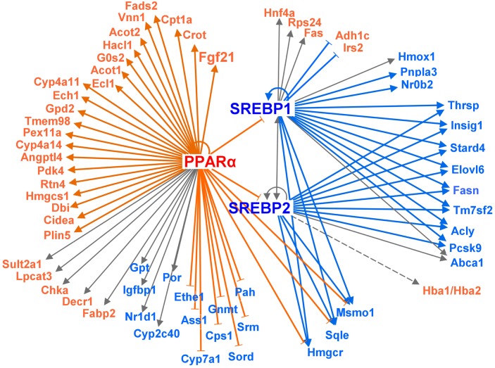 Fig 5