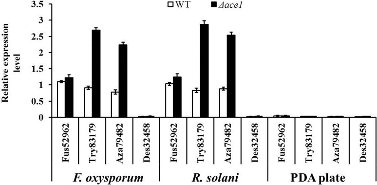 Fig. 5