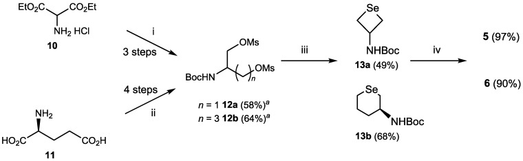 Scheme 2