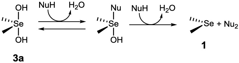 Scheme 3