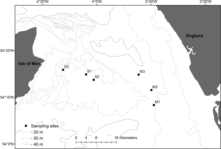 Fig. 1