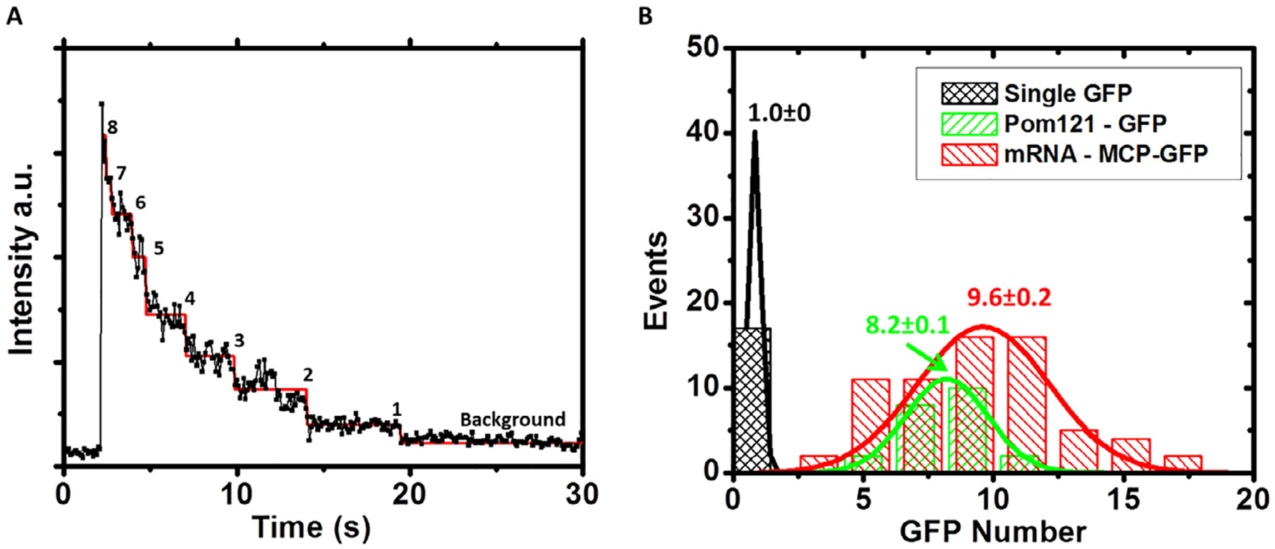 Fig. 8.