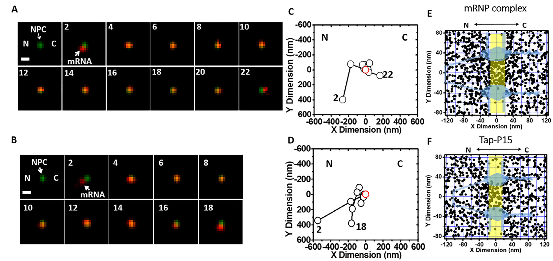 Fig. 7.