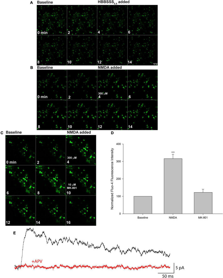 FIGURE 4