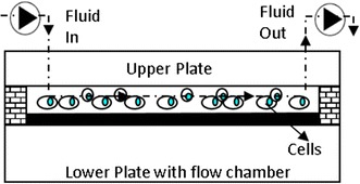 Fig. 5