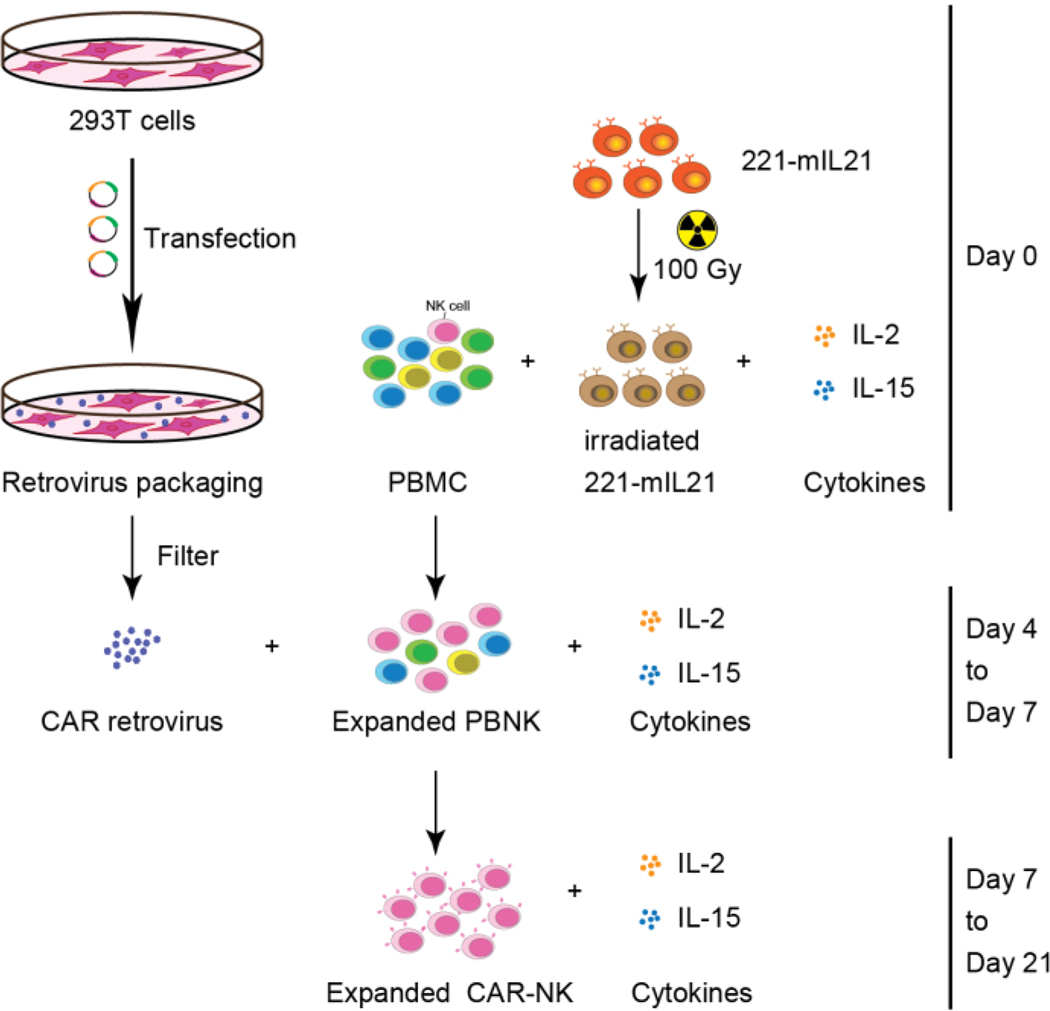 Figure 2: