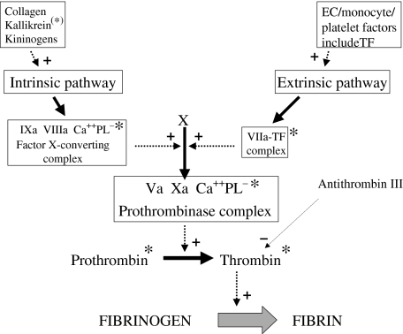 Fig. 1