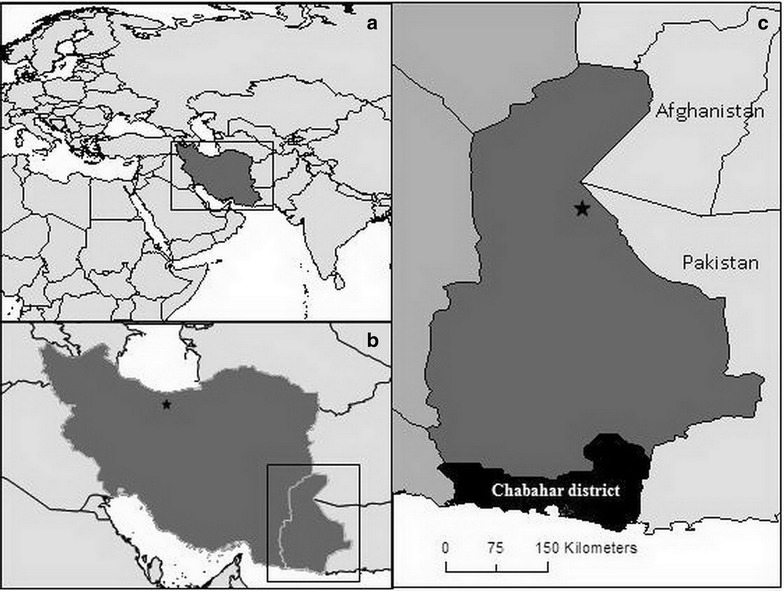 Fig. 1