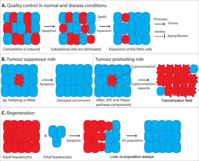 Figure 2.