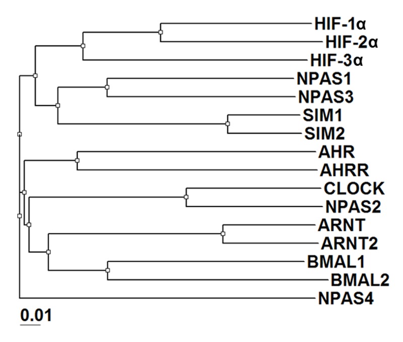 Figure 1—figure supplement 1.