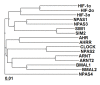 Figure 1—figure supplement 1.