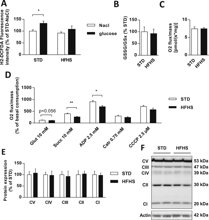 Figure 4