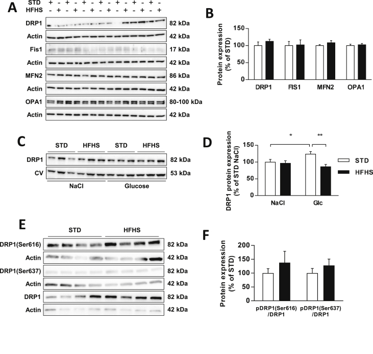 Figure 6