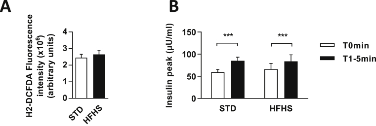 Figure 5