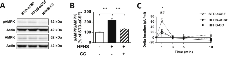 Figure 7