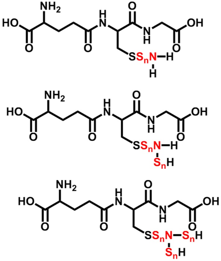 Scheme 4