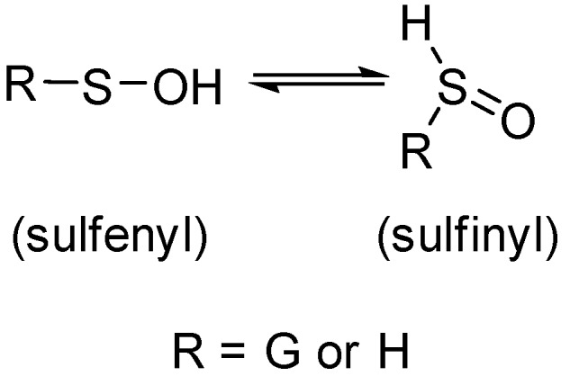 Scheme 3