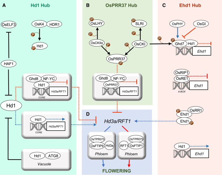 Figure 3