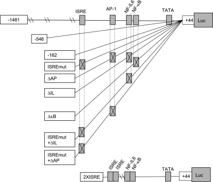 FIG. 1.