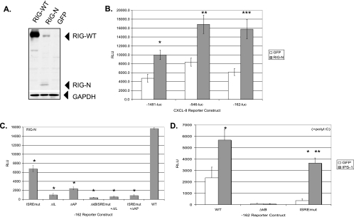 FIG. 2.